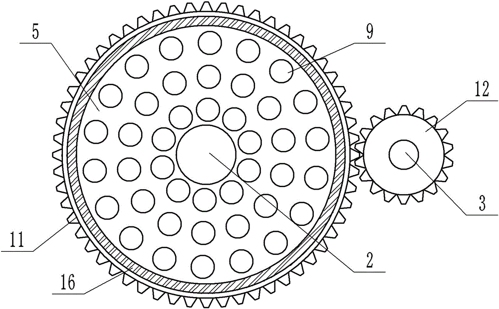 Lentinula edode dehydrating device