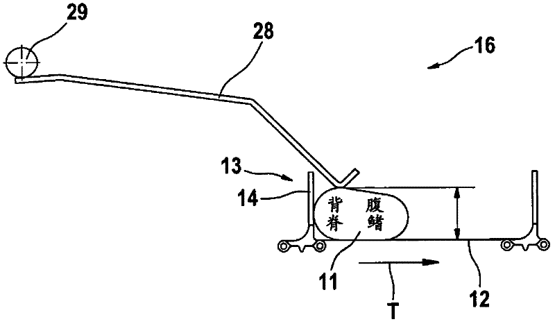 Apparatus and method for automatically supplying fish to a fish processing machine