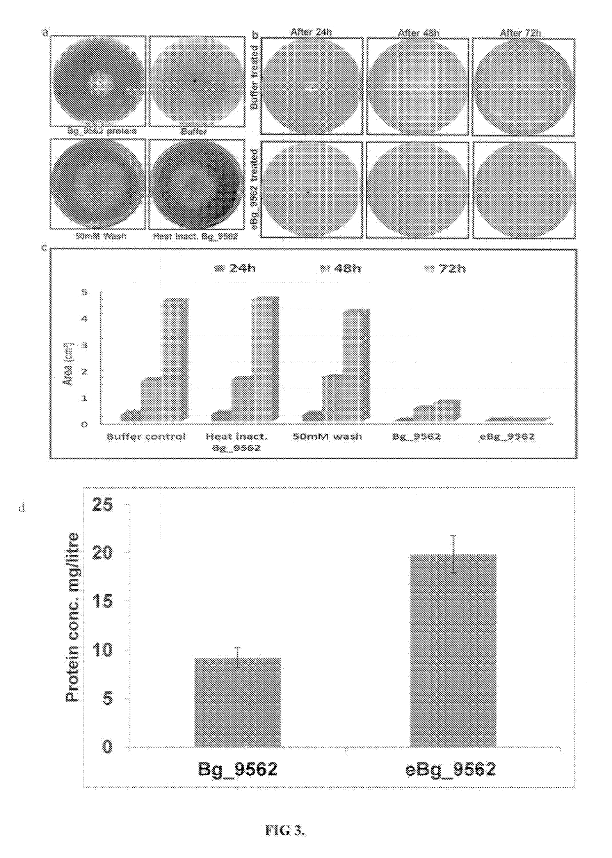 Novel protein against fungal pathogens