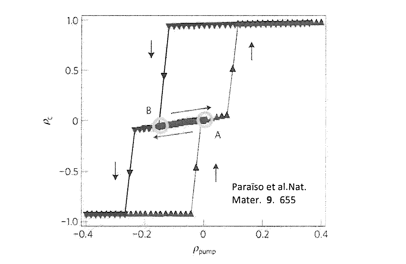 Polariton based all-optical spin device