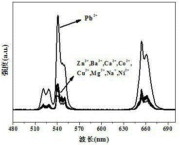 Nanoprobe for heavy metal ion up-conversion luminescence detection and preparation method thereof