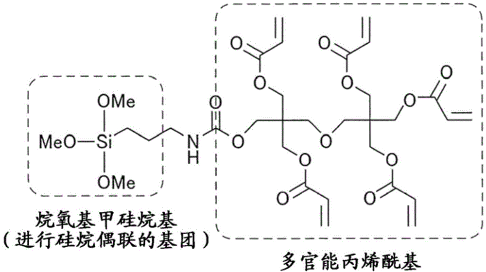 Cured composition, cured product thereof, hard primer and hard coating