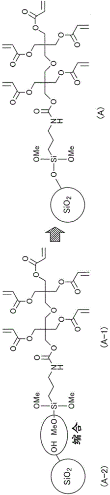 Cured composition, cured product thereof, hard primer and hard coating