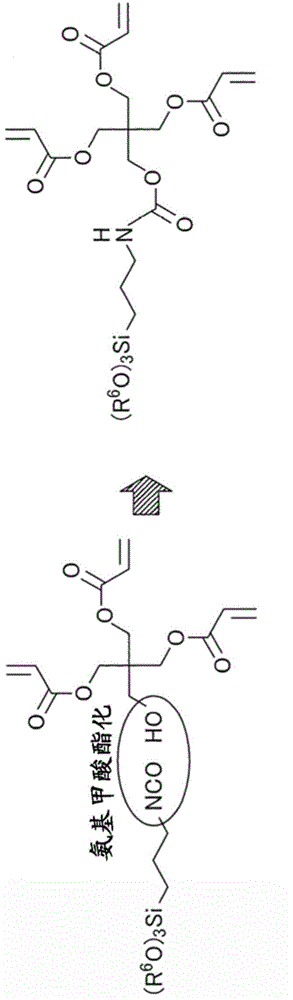 Cured composition, cured product thereof, hard primer and hard coating