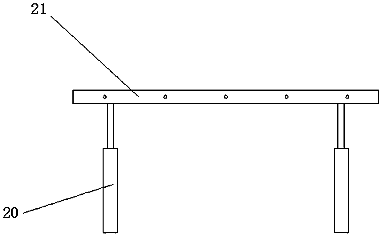 Discharging and drying device for wolfberry fruits