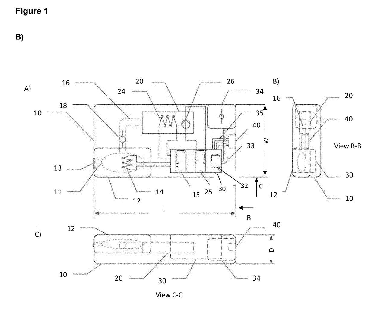 Fully integrated hand-held device to detect specific nucleic acid sequences