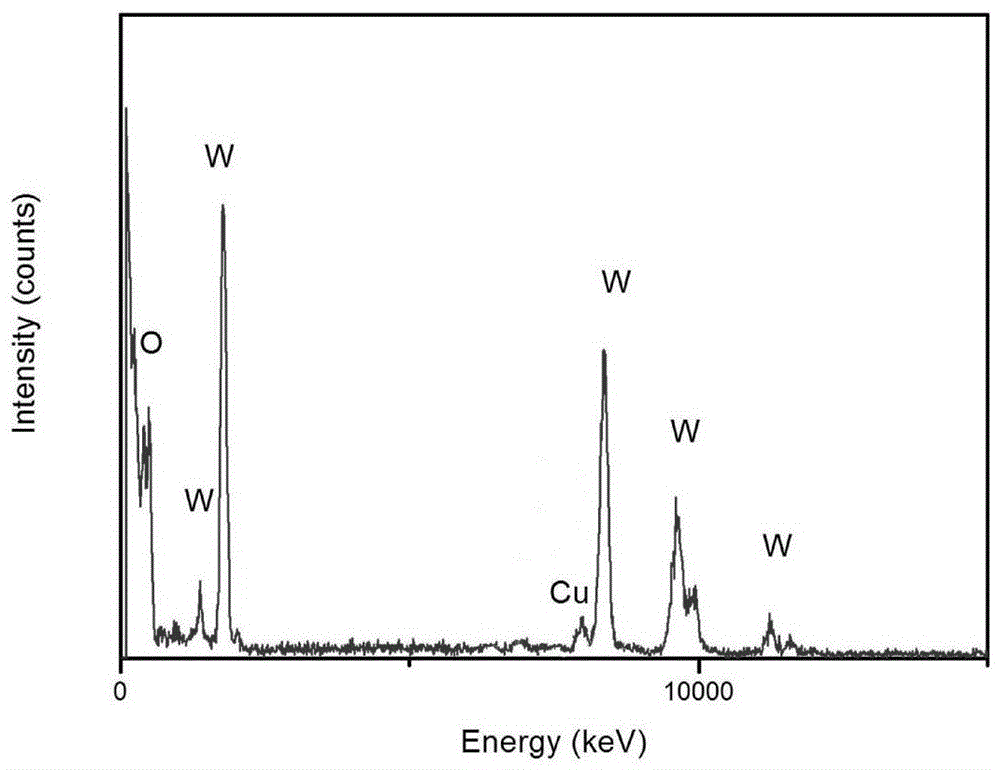 A kind of preparation method of copper-modified violet tungsten photocatalyst