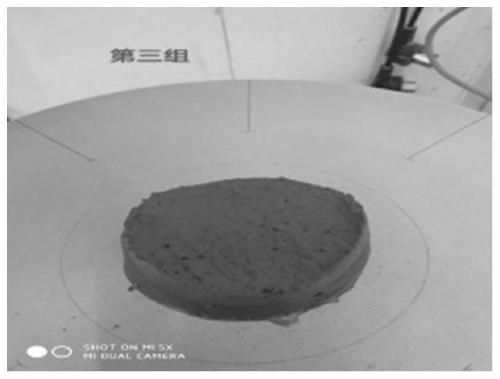 Luminescent cement mortar and preparation method thereof as well as luminescent concrete and preparation method of luminescent concrete