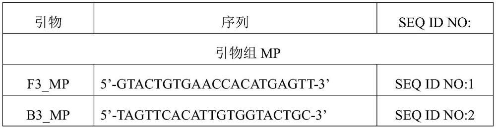 Primer group for detecting mycoplasma pneumoniae, kit and method