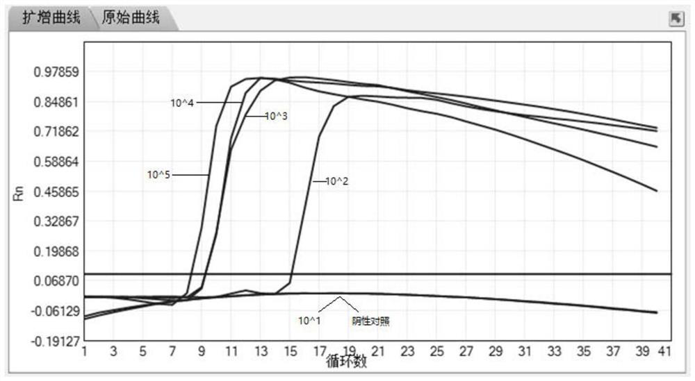 Primer group for detecting mycoplasma pneumoniae, kit and method