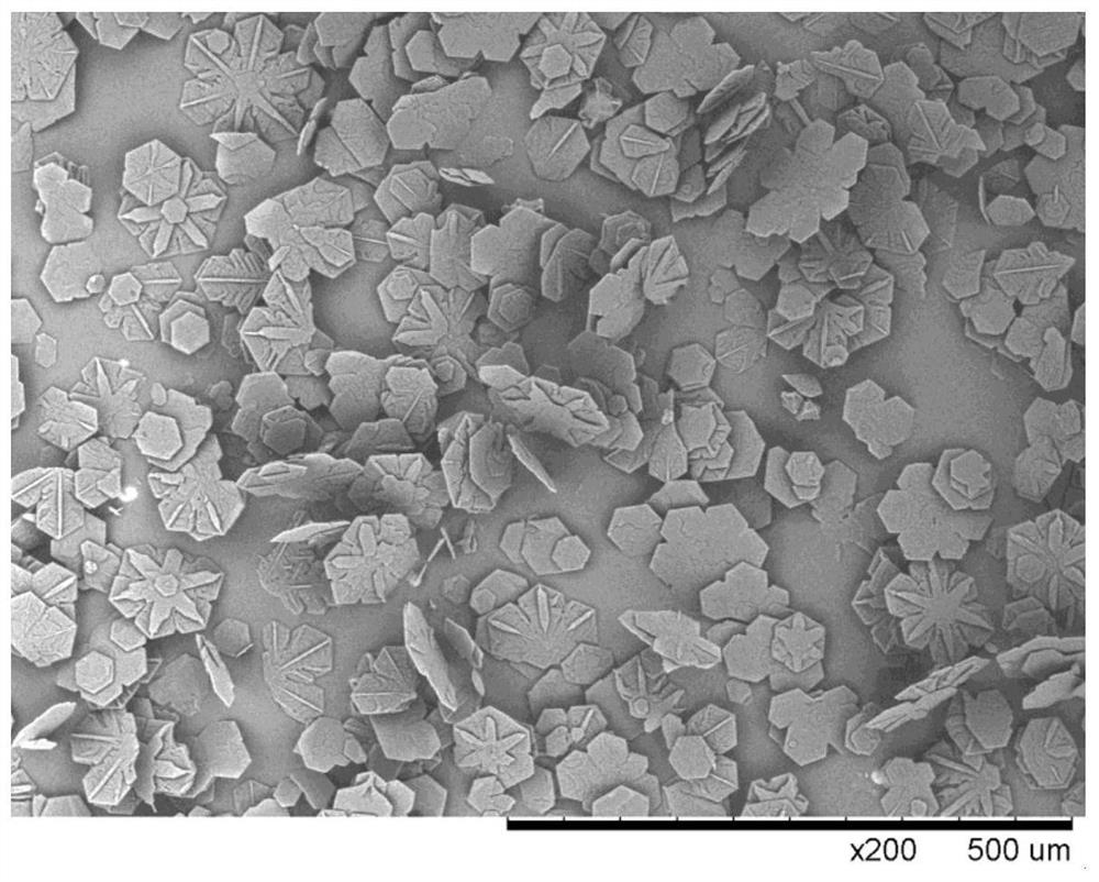 A kind of preparation method of hmx explosive with snow flake structure