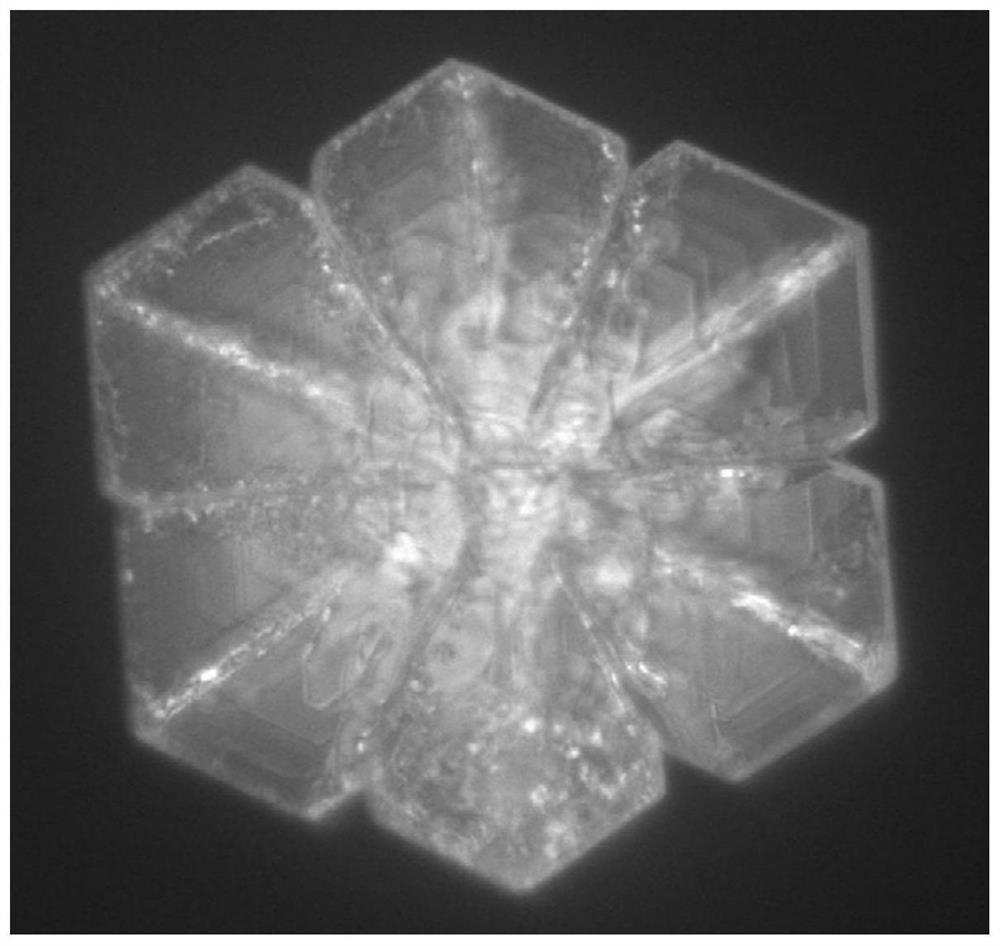 A kind of preparation method of hmx explosive with snow flake structure