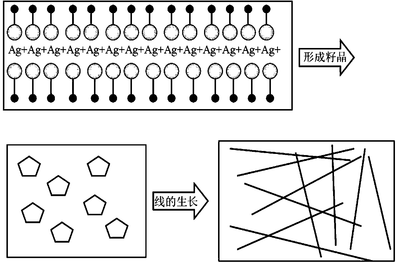 Method of adjusting and controlling length of silver nanowire by utilizing PVP (Polyvinyl Pyrrolidone) of different molecular weights and reaction temperature