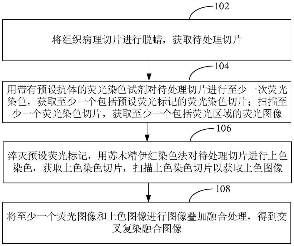 Staining method using fluorescence quenching time difference, automatic staining device, equipment and medium