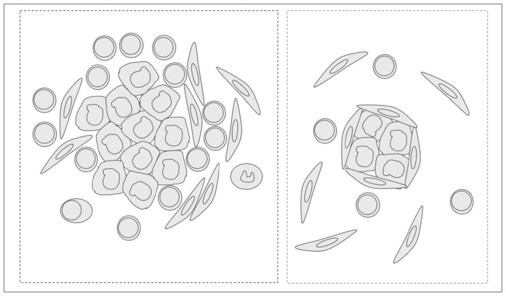 Staining method using fluorescence quenching time difference, automatic staining device, equipment and medium