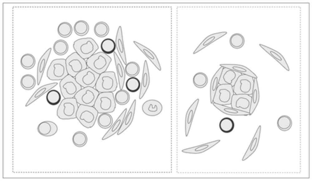 Staining method using fluorescence quenching time difference, automatic staining device, equipment and medium