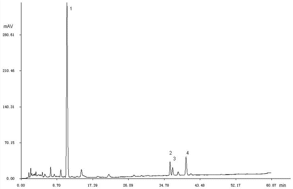 Preparation method of rehmannia iridoid glycoside extractive