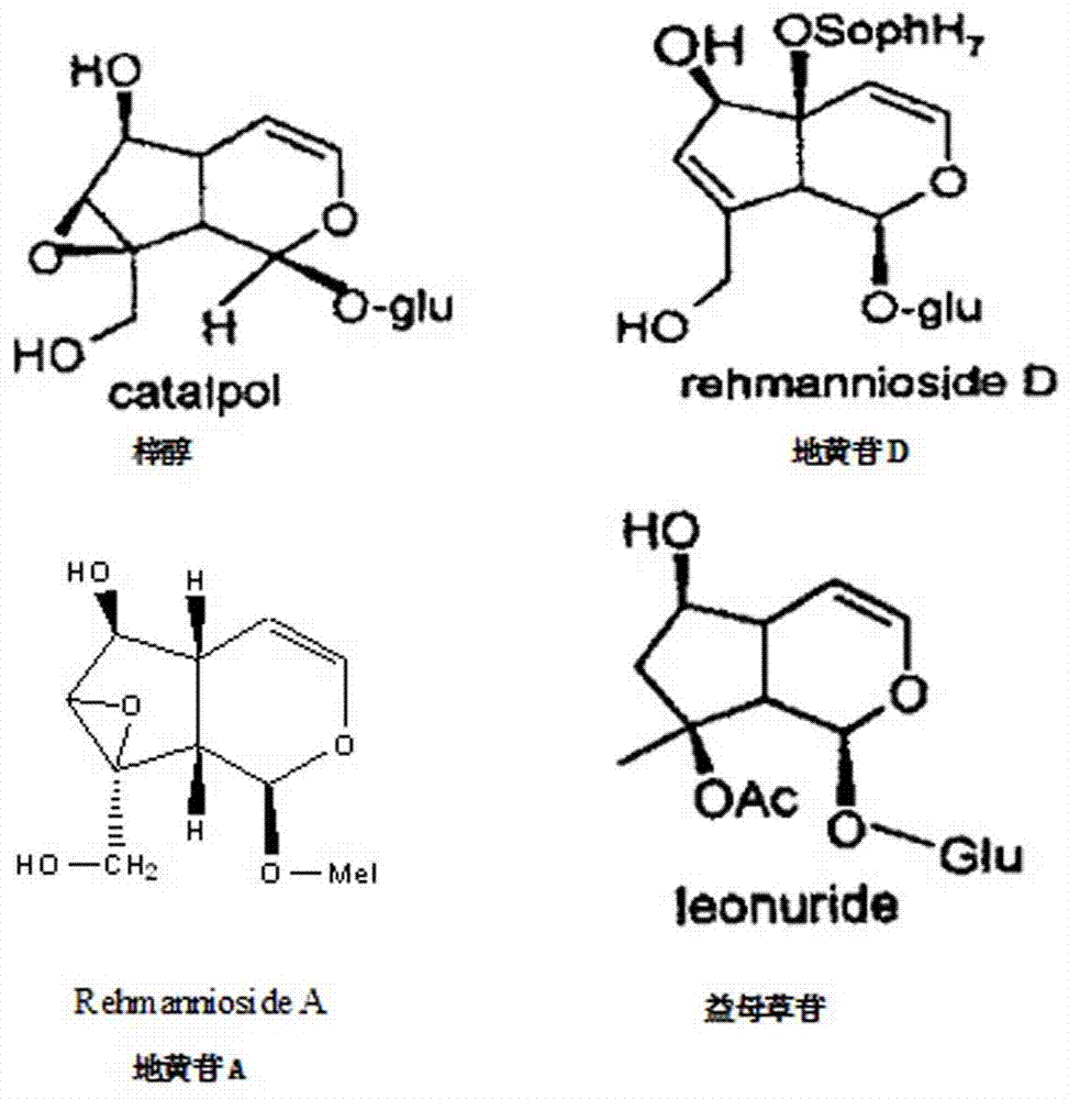 Preparation method of rehmannia iridoid glycoside extractive