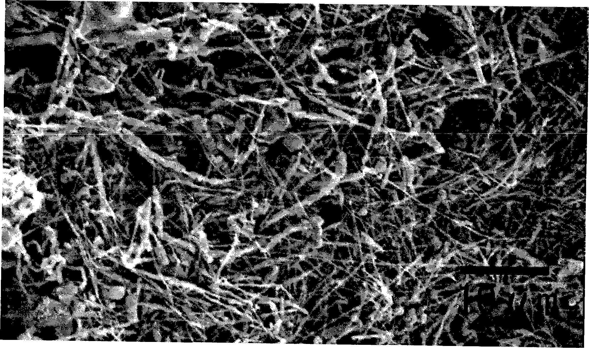 Method for preparing silver nano-wire in large batch