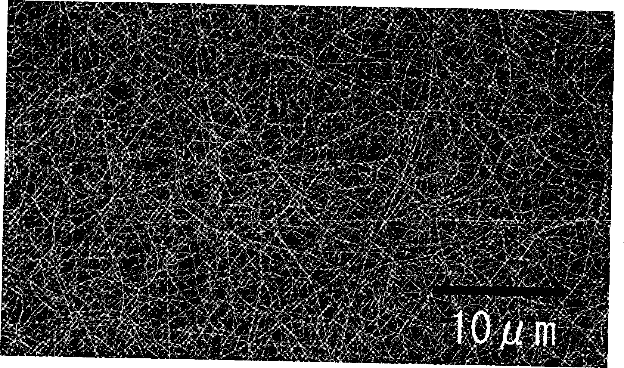 Method for preparing silver nano-wire in large batch