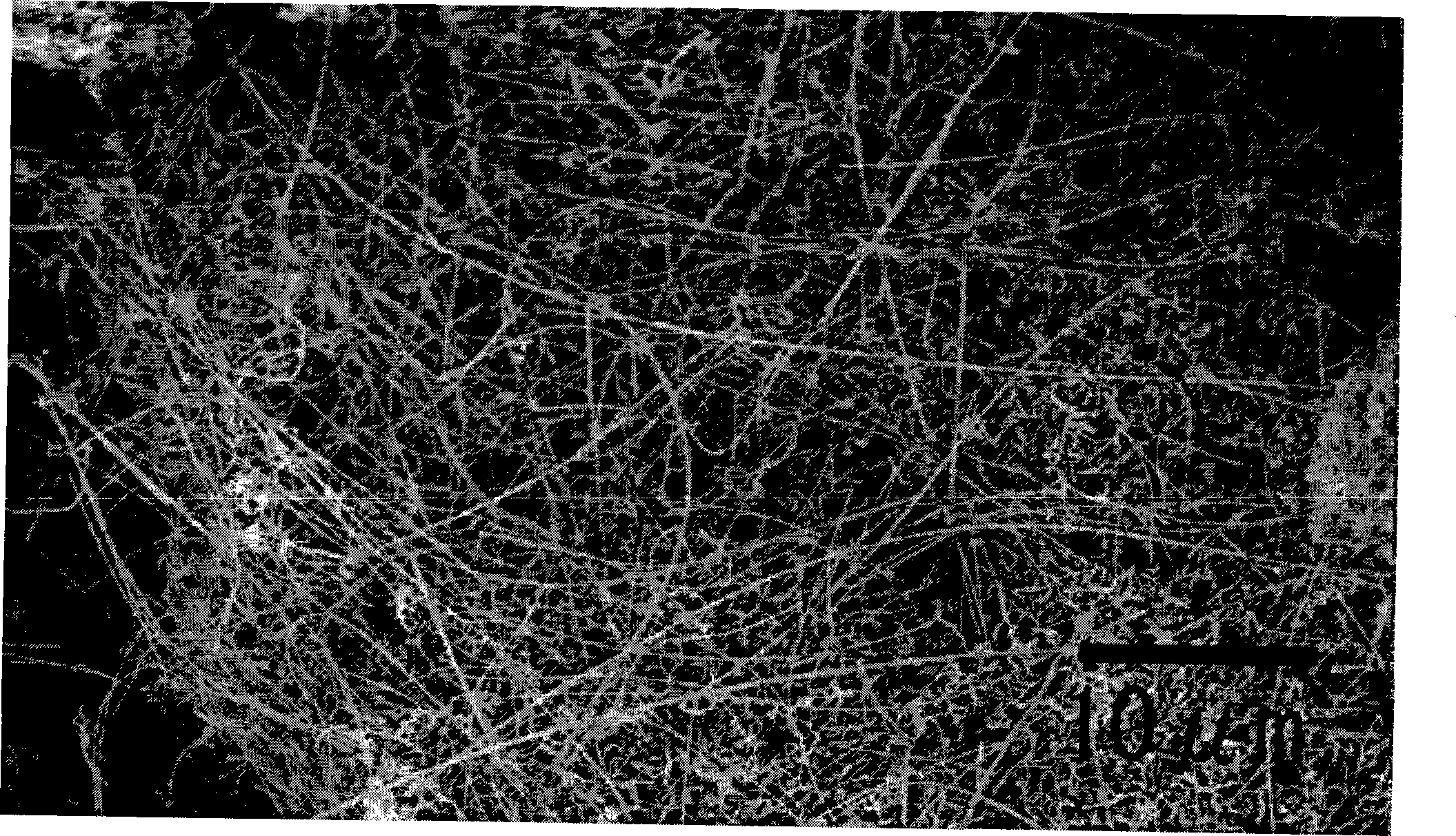 Method for preparing silver nano-wire in large batch