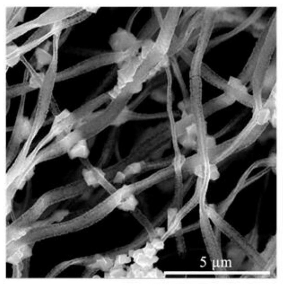 a kind of in  <sub>2</sub> o  <sub>3</sub> Particle/in  <sub>2</sub> o  <sub>3</sub> Synthetic method of nanoribbons and products obtained therefrom