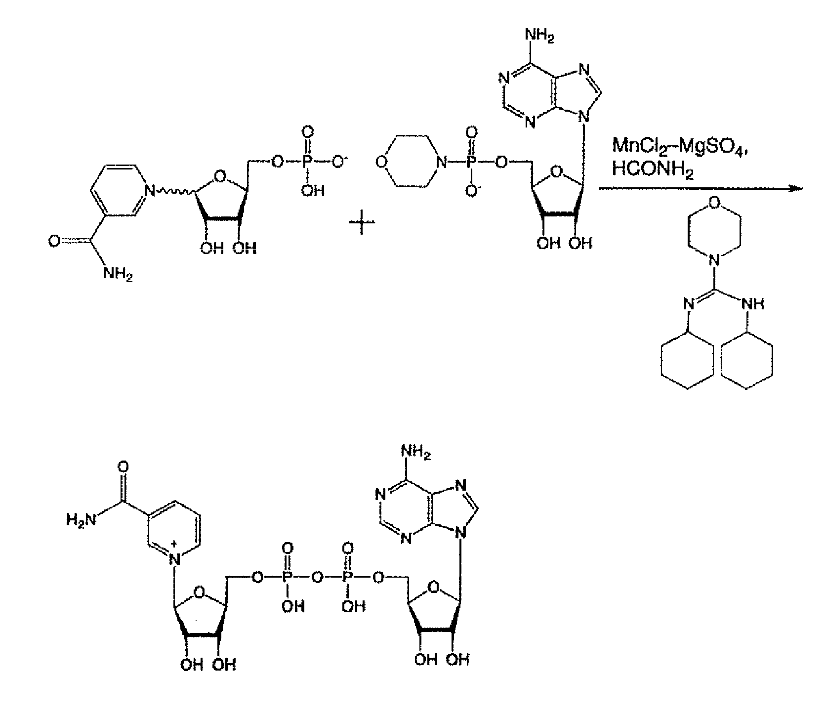 Neurite outgrowth agent