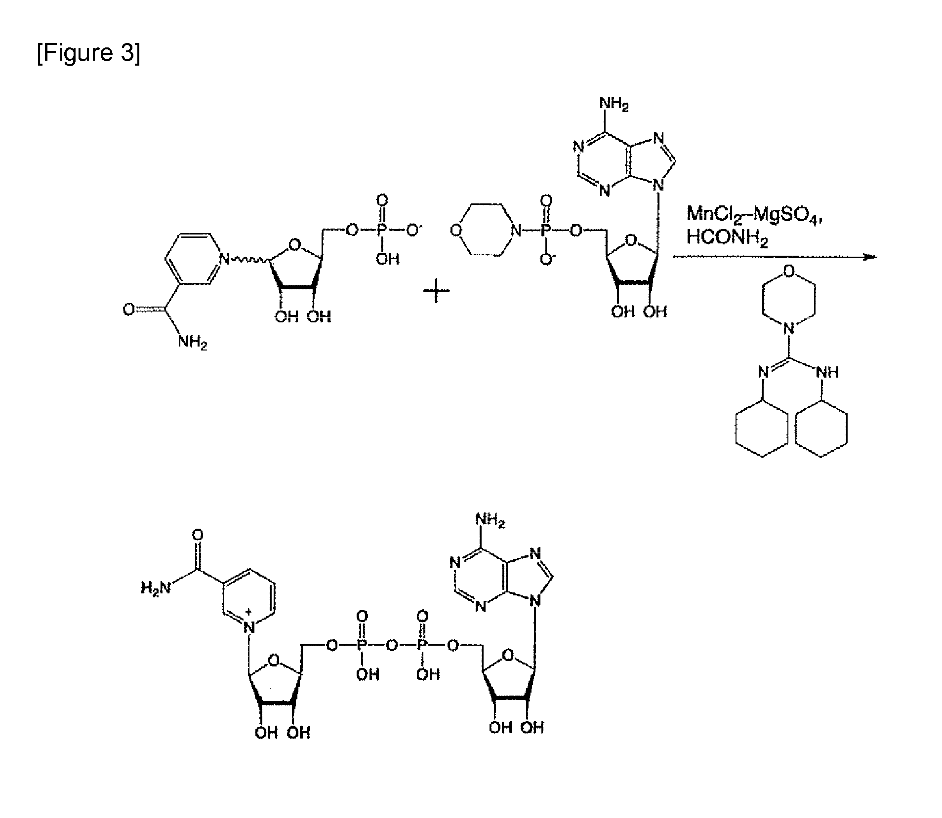 Neurite outgrowth agent