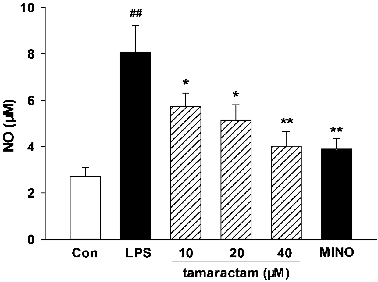 Application of scopoletin to preparation of medicine for inhibiting neuroinflammation