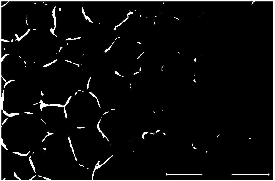 Tertiary amine and alcohol amine alkaline foaming agent and application for preparing polyurethane spray foam materials