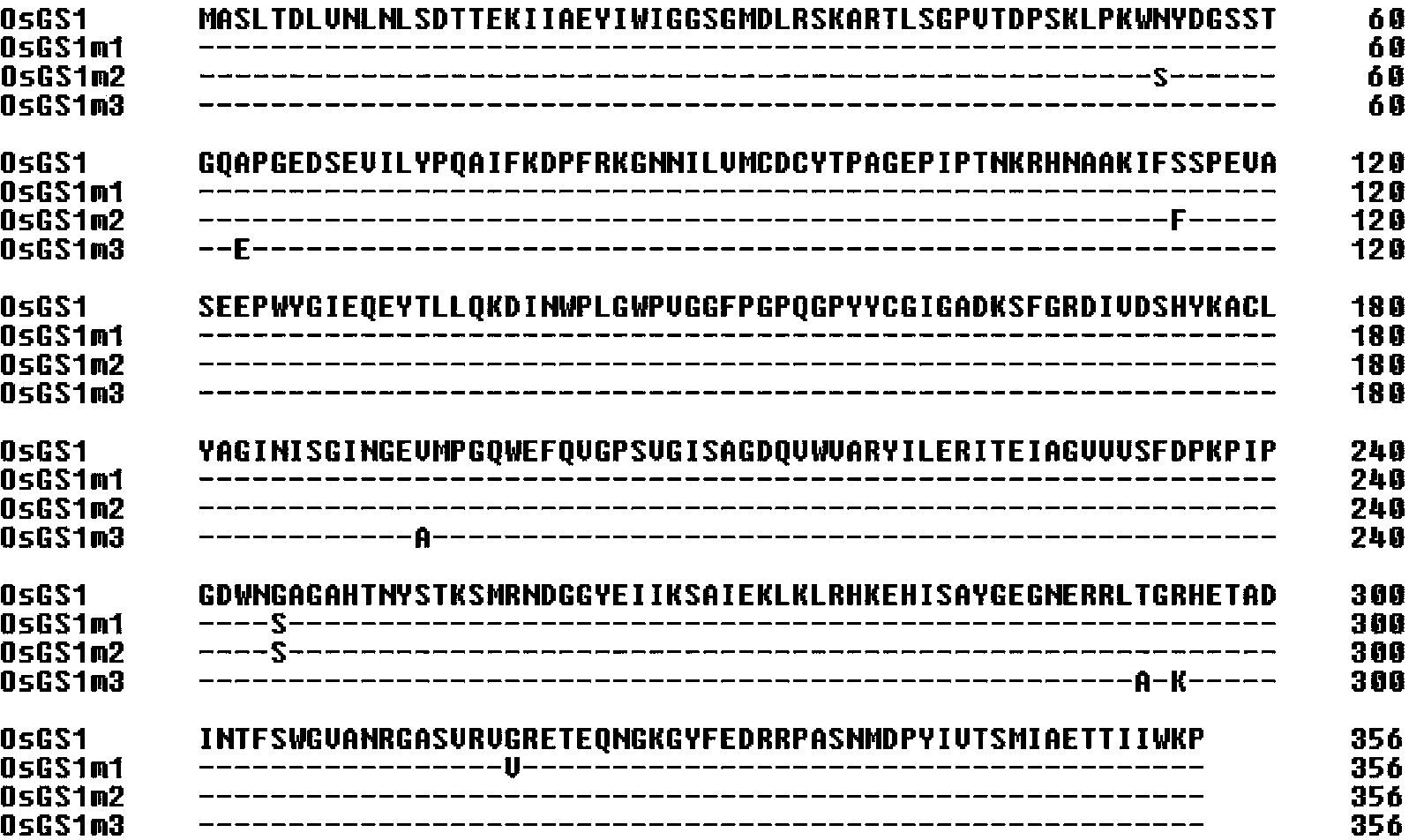 Three glufosinate-resistant rice cytoplasm type glutamine synthetase mutants