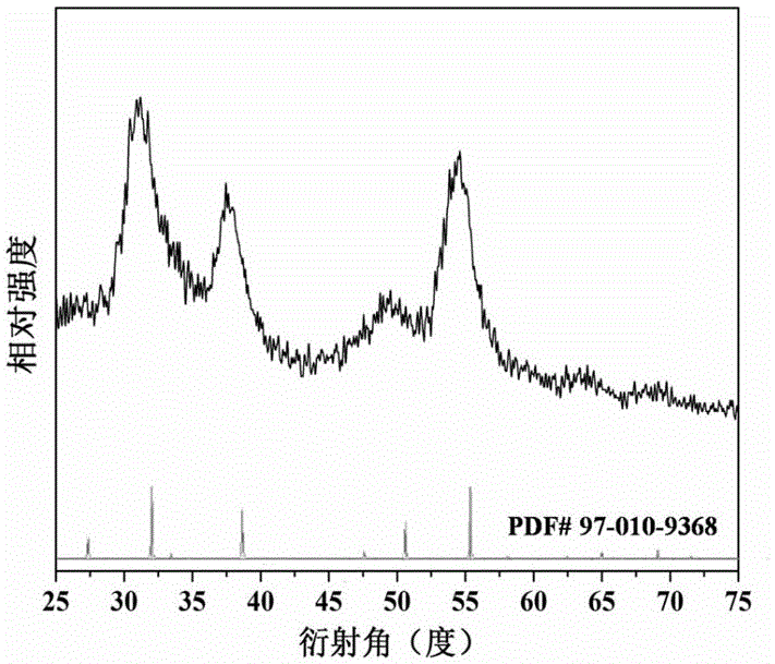 Cobalt sulfide photocatalyst, and preparation method and application thereof