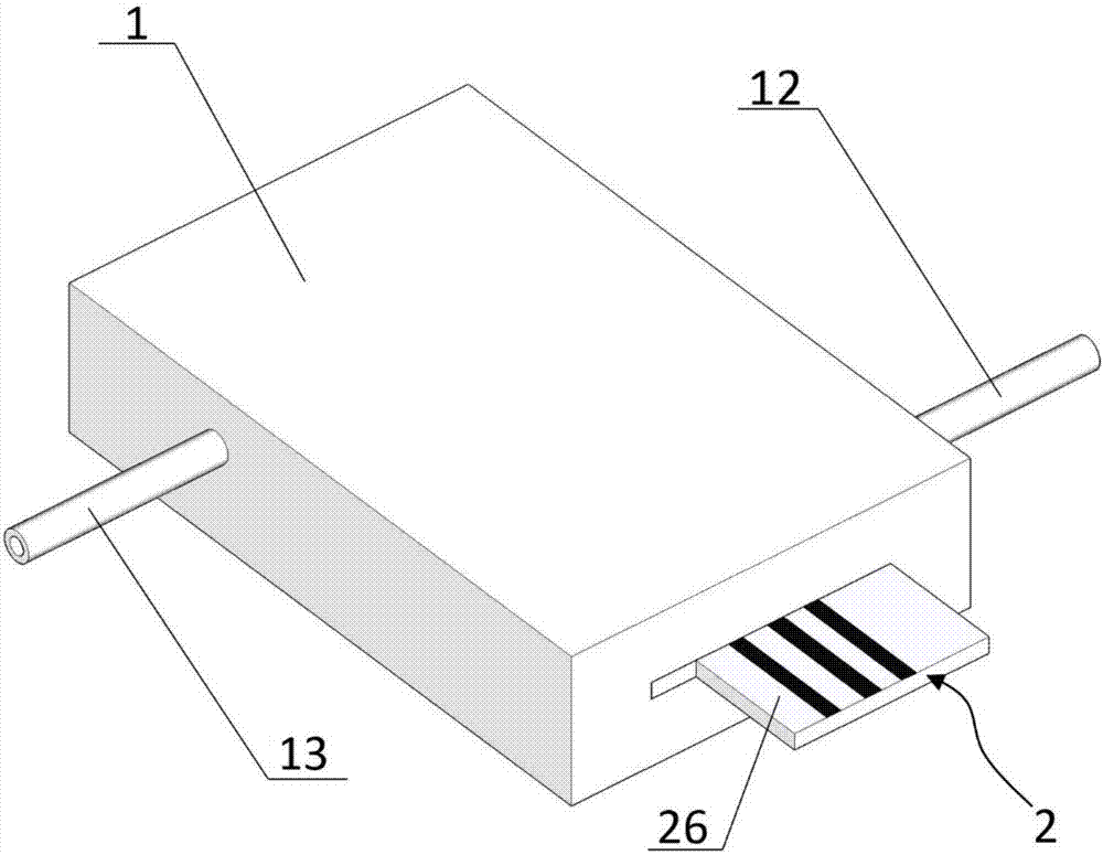 Portable USB (universal serial bus) interface based heavy metal ion detection device and electrode card