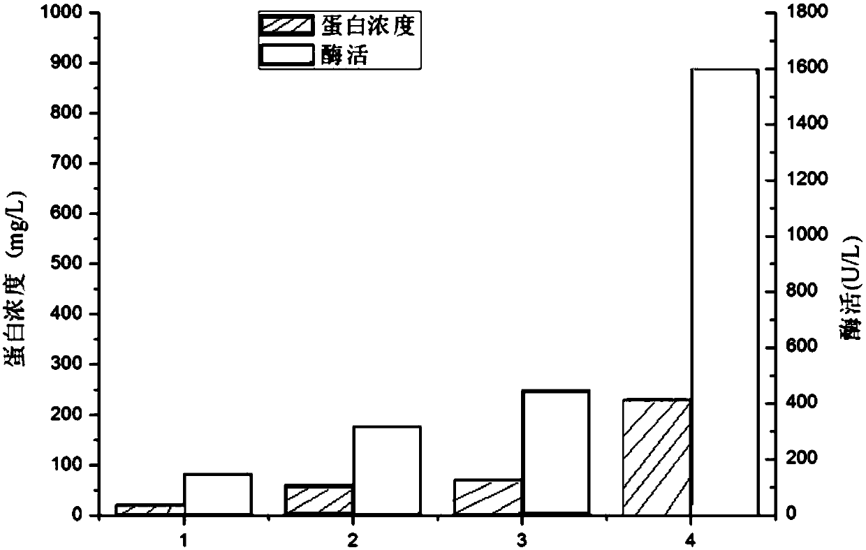 A signal peptide that can effectively improve the efficiency of protein secretion and expression and its application