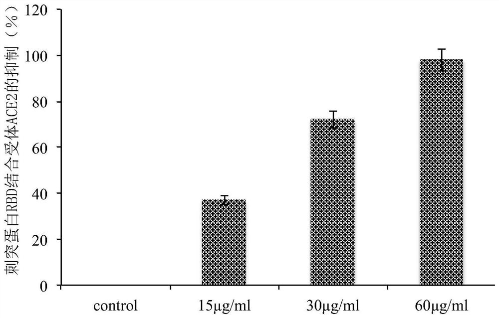 Application of Indian kalimeris herb cold and wind chill compound recipe to preparation of medicines for resisting infection with novel coronaviruses