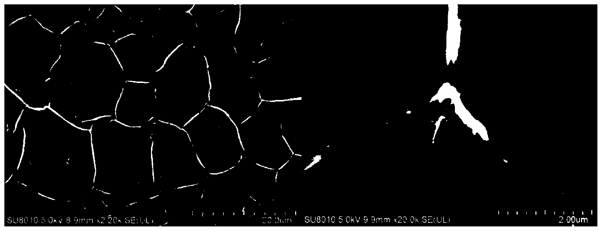 A Method for Inducing Super Graphene Network Structure Using Femtosecond Pulsed Laser