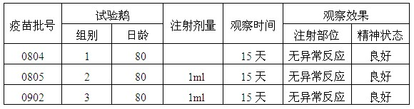 Preparation method of live vaccine for gosling plague and live vaccine prepared therefrom