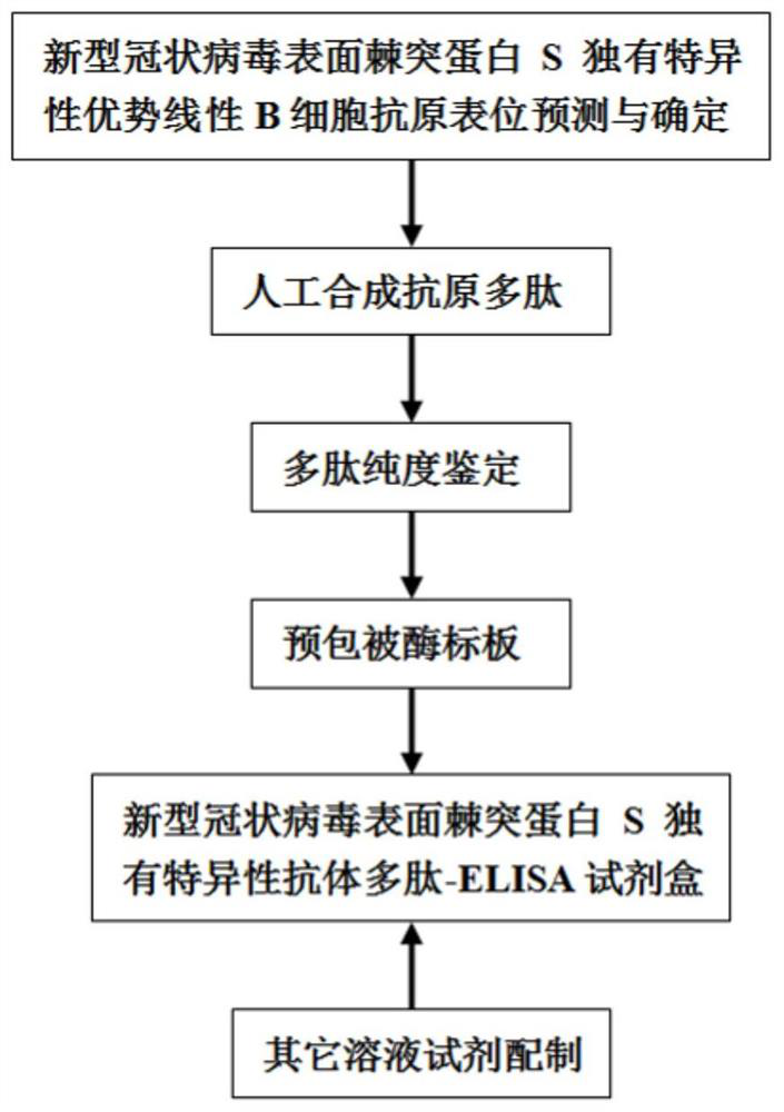 Polypeptide-ELISA kit for detecting novel coronavirus S protein unique antibody