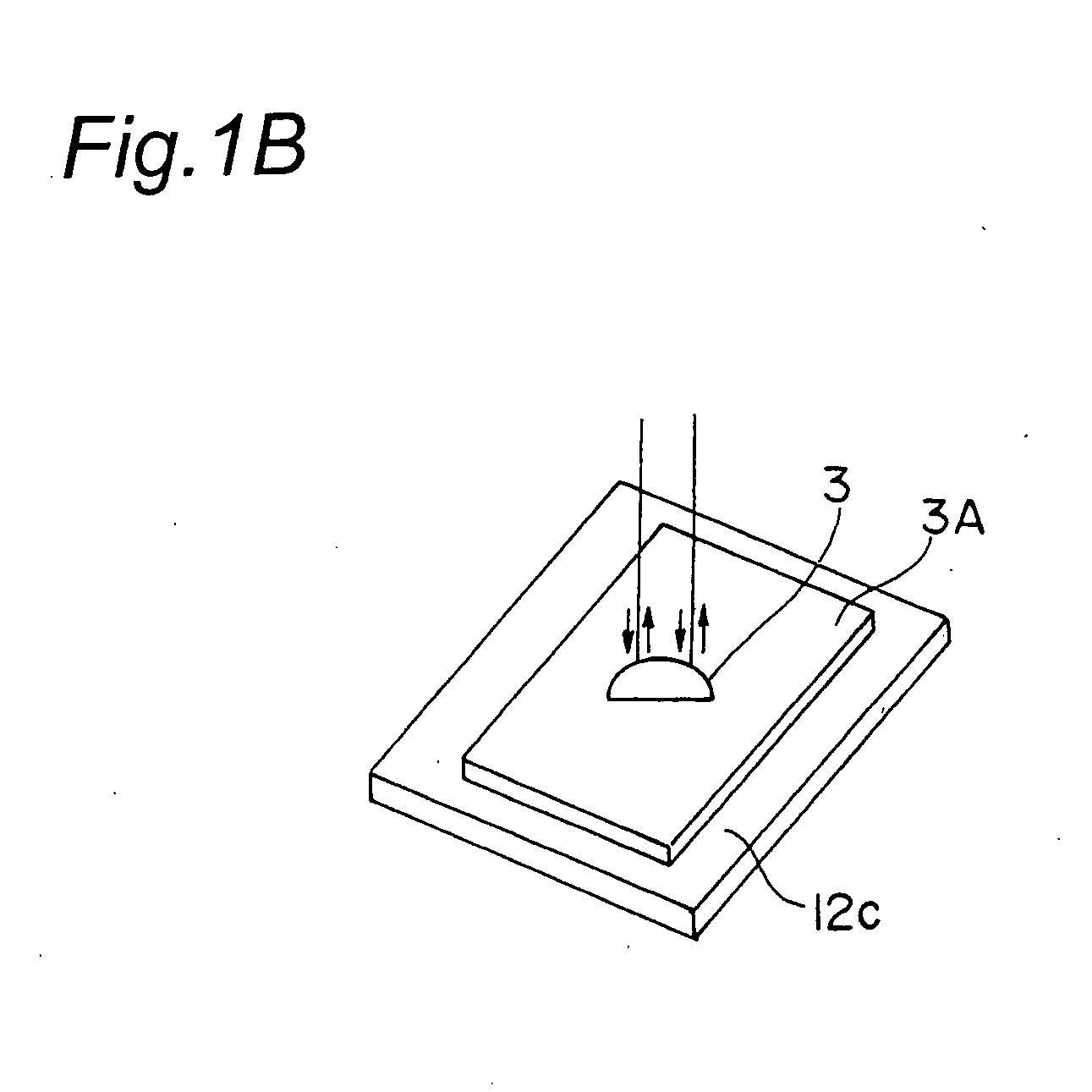 Apparatus and Method for Appearance Inspection