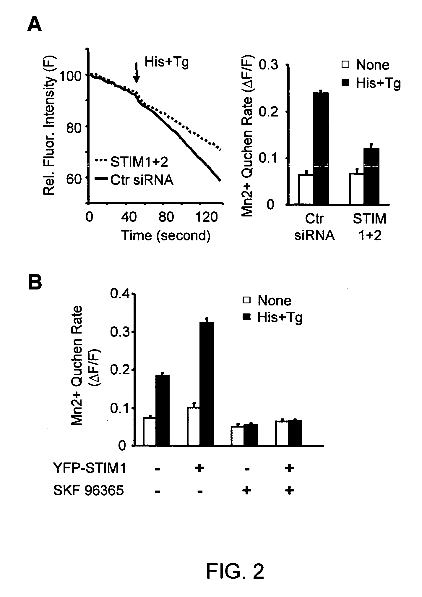 Calcium biosensor polypeptides and methods of use