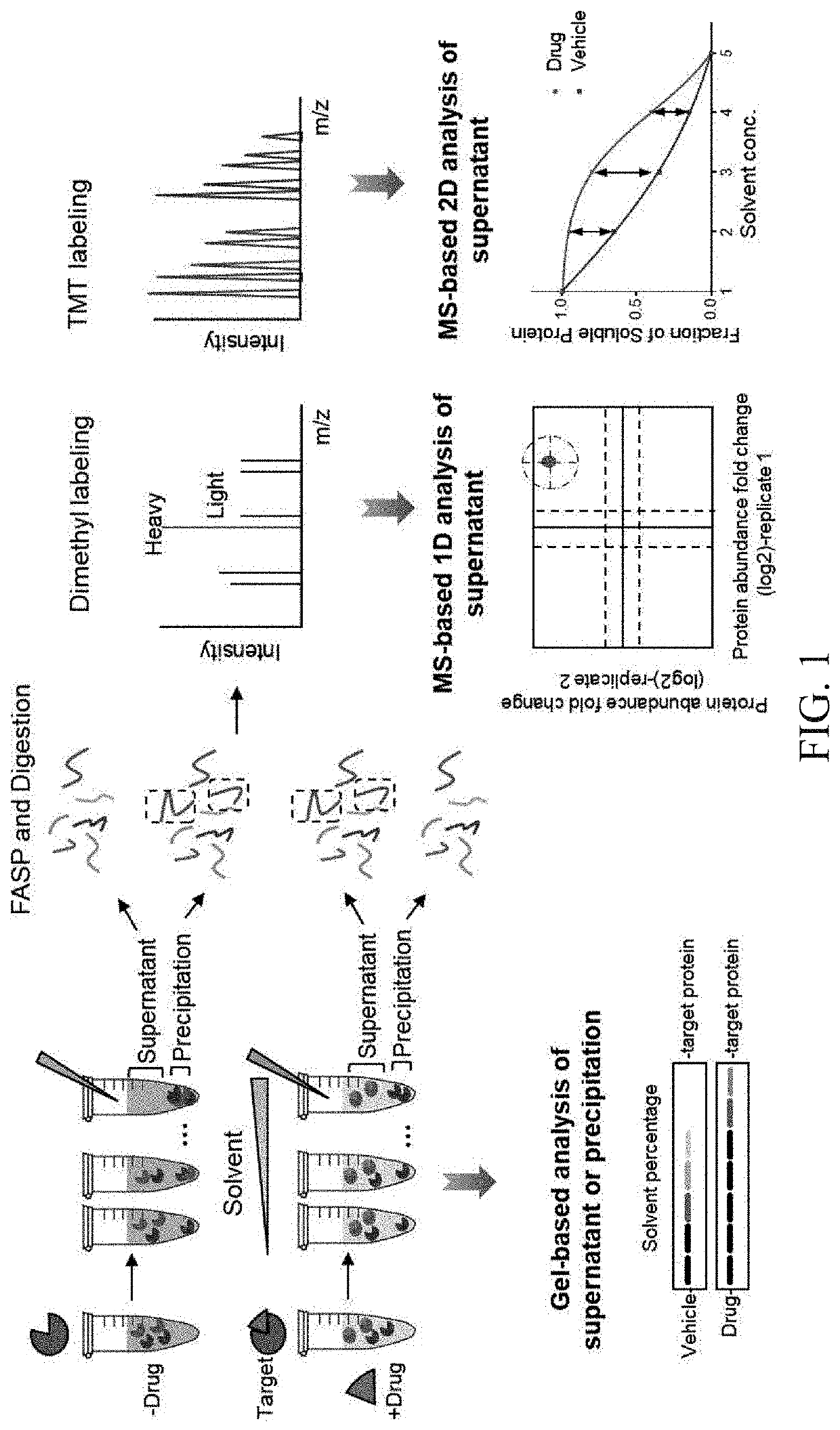 Method for detecting interaction and affinity between ligand and protein