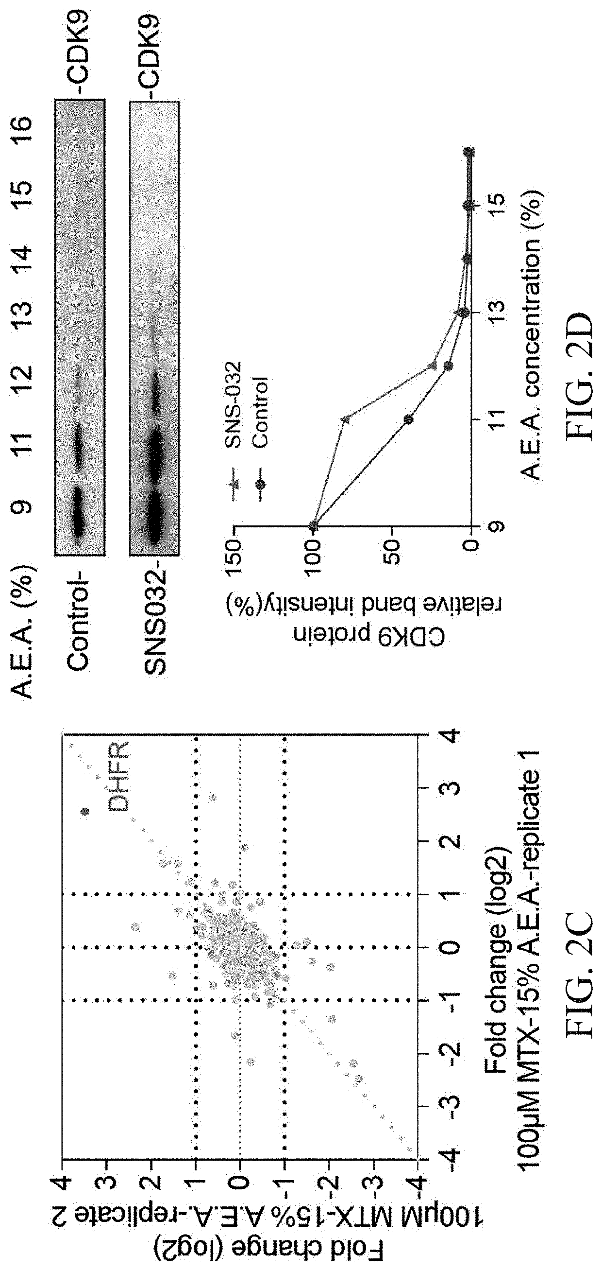 Method for detecting interaction and affinity between ligand and protein