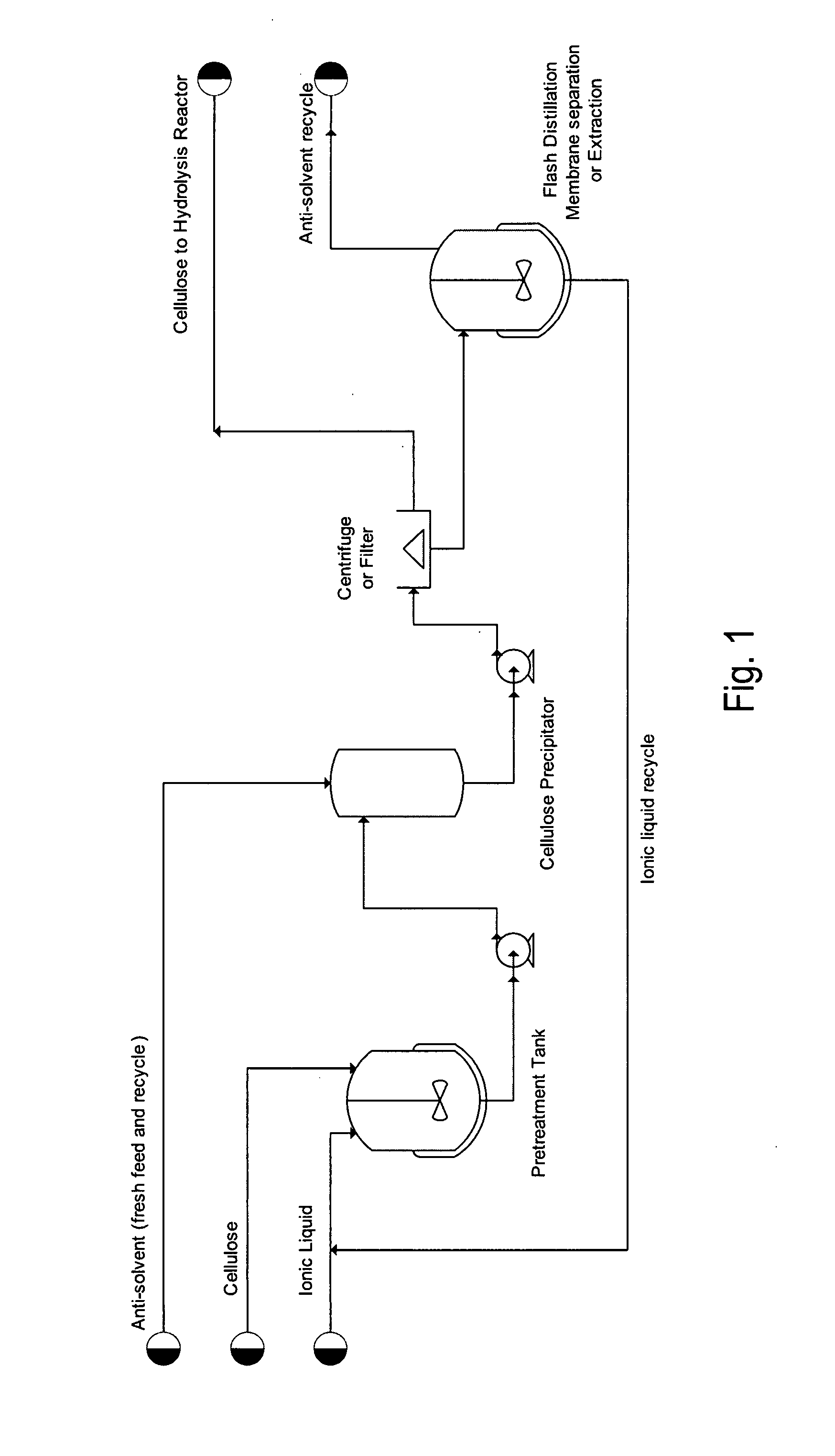 Saccharifying cellulose