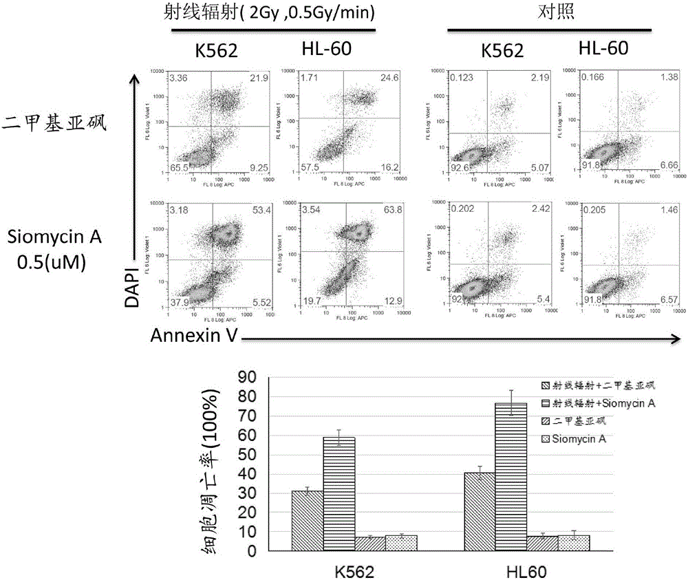 Application of Soimycin A in preparation of leukemia radiation and chemotherapy sensitizer