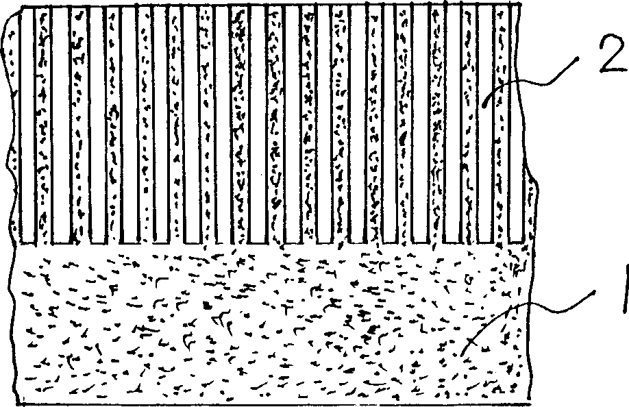 Special equipment for fabricating frozen tissue micro array carrier