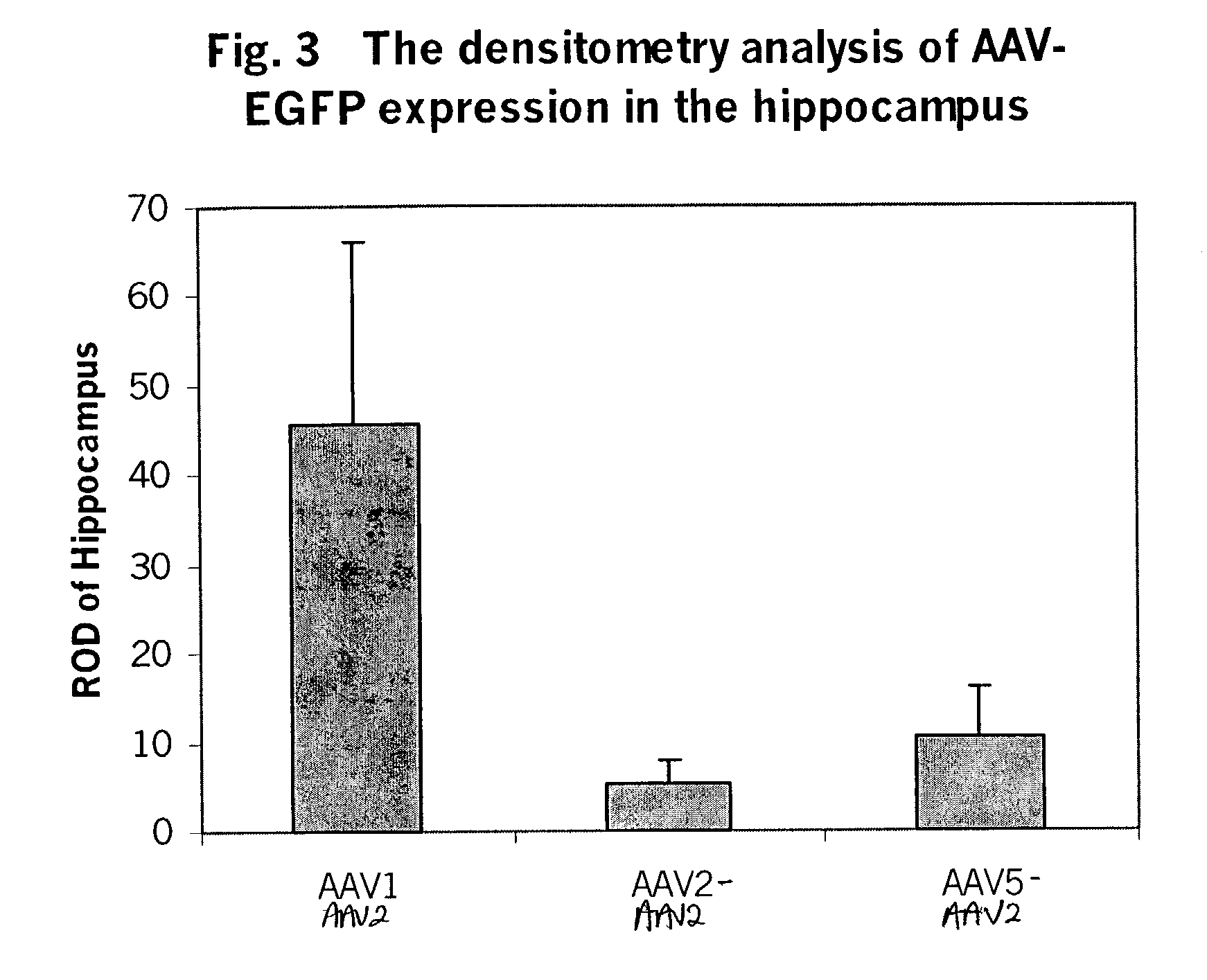 High transgene expression of a pseudotyped adeno-associated virus type