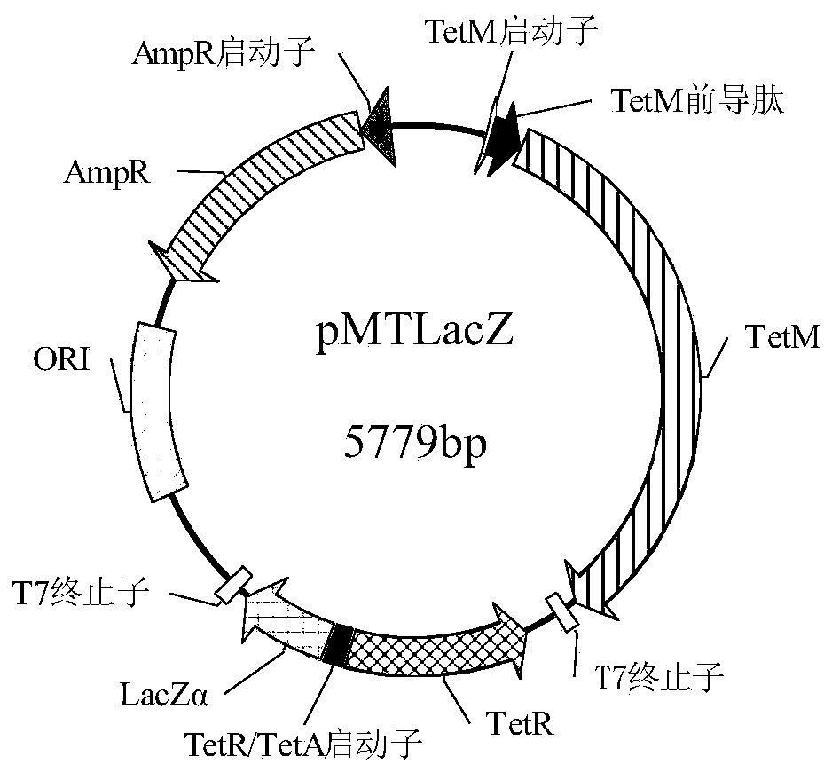 Test strip and method for detecting extractable tetracycline antibiotics in soil by biosensor