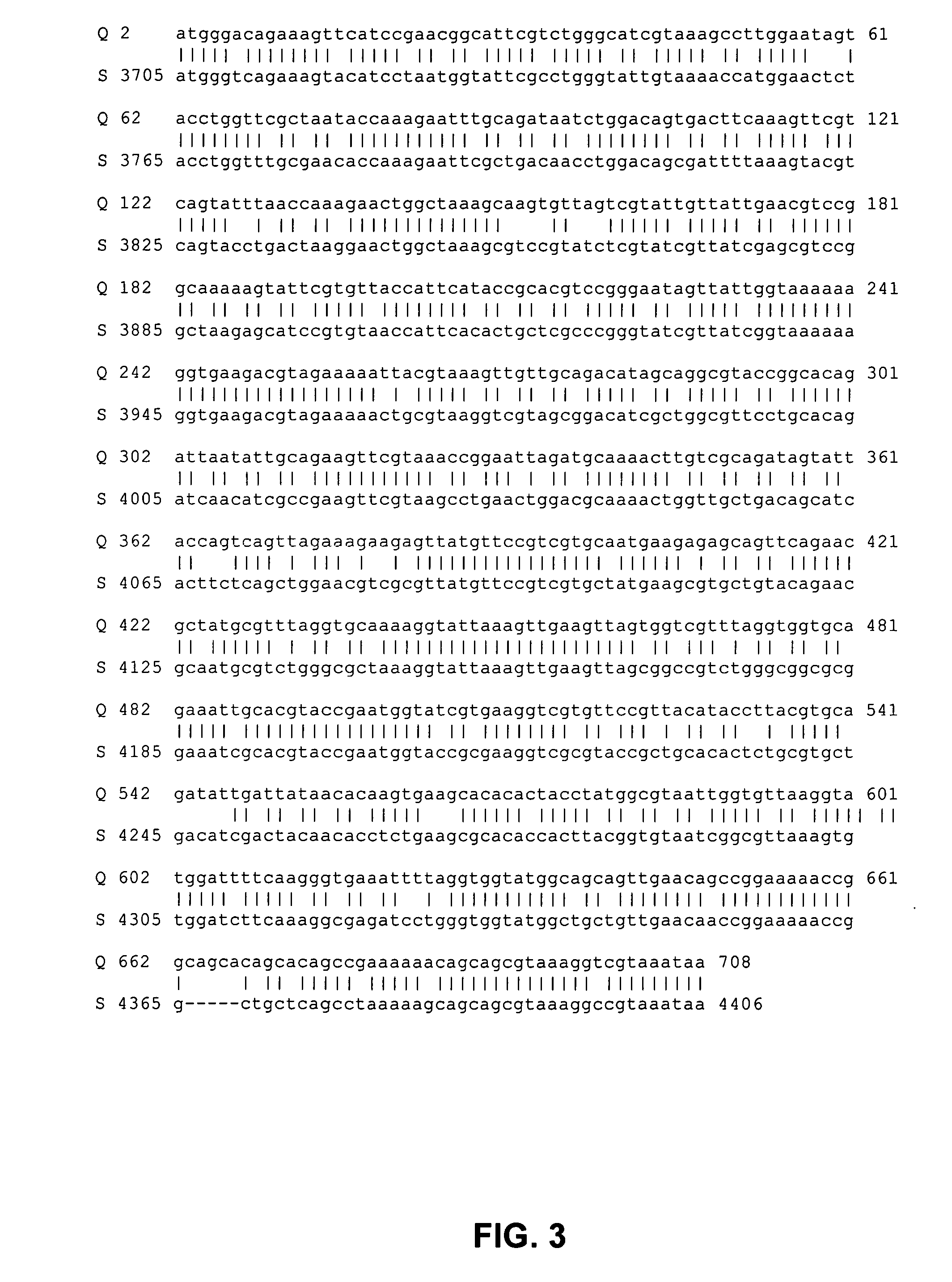 Polynucleotide synthesis