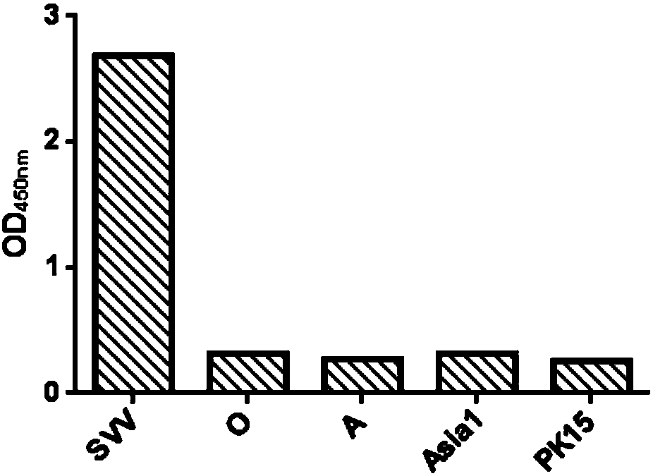 Solid phase competition ELISA kit for detecting Seneca valley virus antibody, and applications thereof,