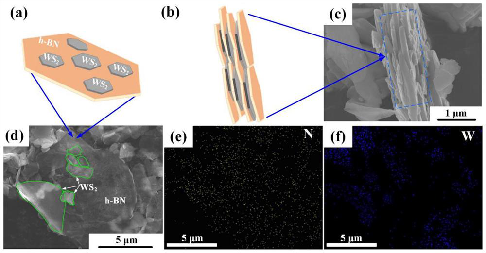 Van der Waals heterojunction WS2/h-BN and self-assembly preparation method thereof